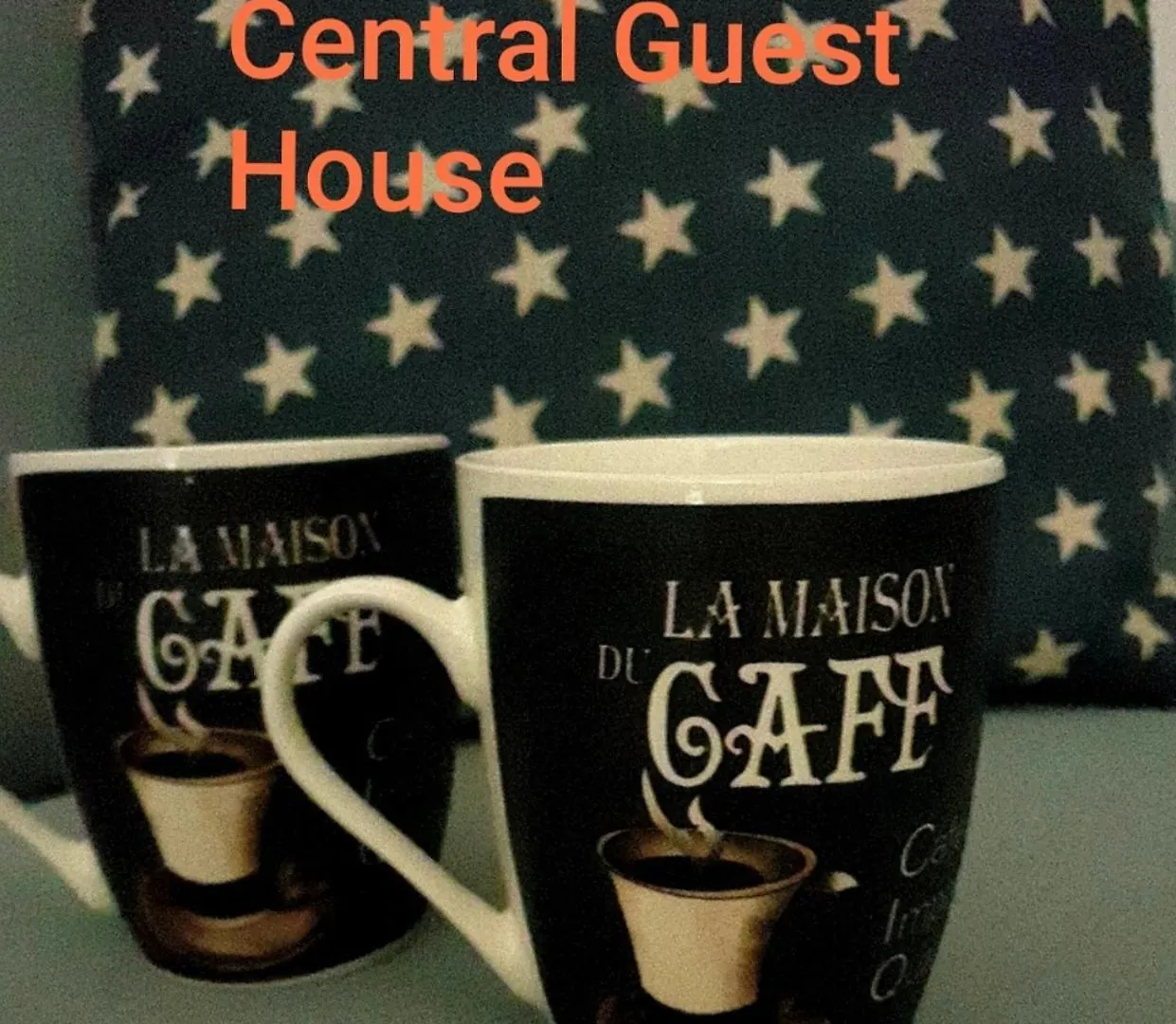 Central Guest House 那不勒斯 意大利